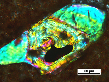 Figure 6b Photomicrograph of zircon crystal showing oscillatory zoned core with melt inclusion and optically unzoned overgrowth, Eucarro Rhyolite. (Cross-polarised light; sample 2136023; photo 416273)