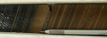 Figure 3d Intensely K-feldspar-altered, finely laminated carbonaceous sediment. Drillhole GHDD2, 936 m. (Photo 416633)