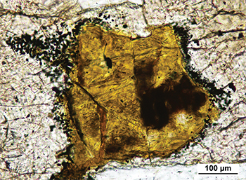 Figure 5a Phyllosilicate-altered olivine crystal surrounded by seam of tiny magnetite grains forming inclusion within clinopyroxene. (Sample 2014867, plane-polarised light; photo 416694)