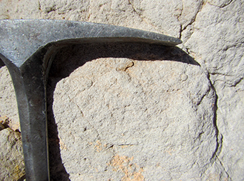 Figure 3b Close-up view of the Sugarloaf Dam Sandstone.