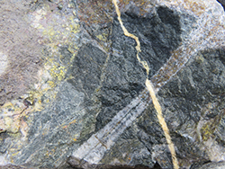 Figure 5e Dark mafic micro-enclaves with possible basaltic composition cut by quartz–pyrite–molybdenite vein and a late stage calcite vein.