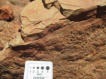 Figure 10b Laminated siltstone overlying coarse-grained volcanic sandstone. (Site 2012071; photo 416277)