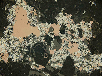 Figure 3e Photomicrograph of drill core sample showing partly chlorite–calcite–hematite–sulfide retrogressed banded garnet–pyroxene skarn illustrating interstitial bornite (pinkish brown) and hematite (small pale grey crystals). Drillhole WPDD01, 844 m. (Photo 416634)