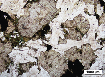 Figure 4a Intergranular texture of coarse-grained dyke interior with interlocking clinopyroxene and plagioclase crystals. (Sample 2014852; plane-polarised light; photo 416690)