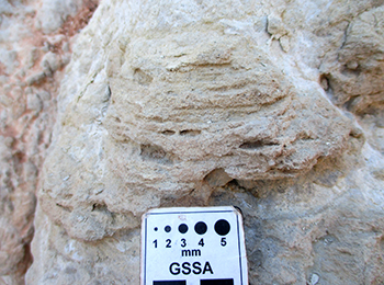 Figure 3c Sandstone with faint planar lamination.