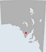 wilgerup_blue