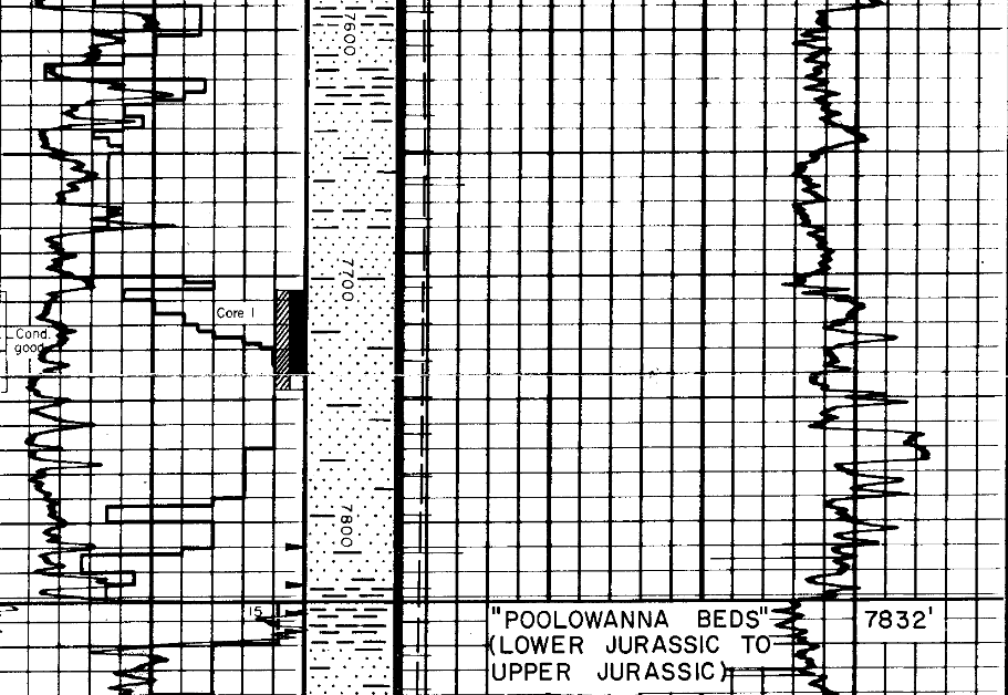 Core 1 in the lowermost Algebuckina Sandstone in Poolowanna 1 (excerpt from Well Completion Report)
