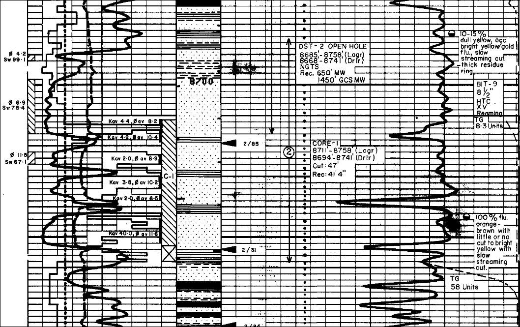 Cored interval in Lower Poolowanna in Walkandi 1 (excerpt from Composite Log)