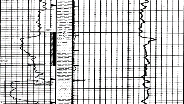 Cored interval in the Peera Peera Formation in Macumba 1 (excerpt from Composite Log)