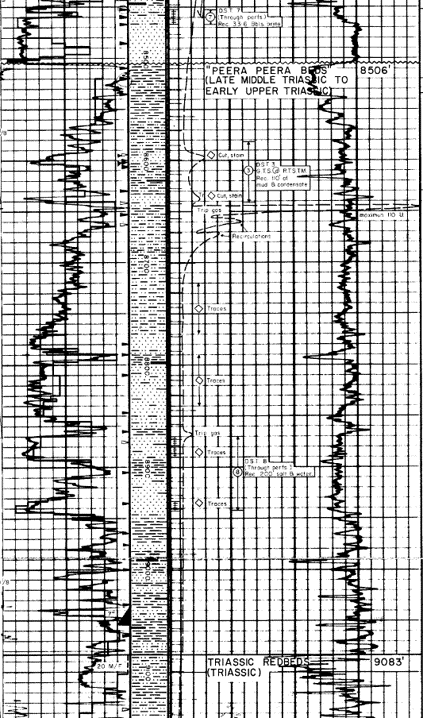 Peera Peera Formation in Poolowanna 1 (excerpt from Composite Log)