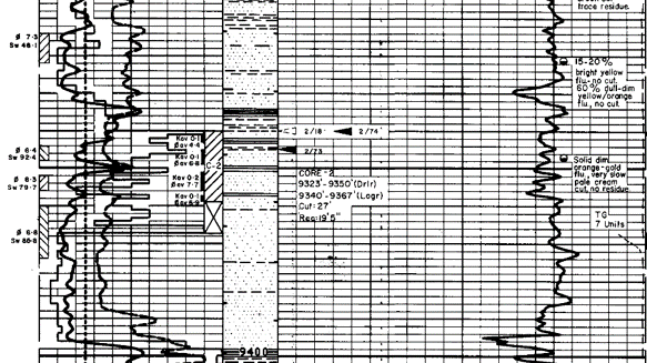 Cored interval in the Peera Peera Formation in Walkandi 1 (excerpt from Composite Log)